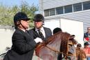 The Horsemen 9 * 5184 x 3456 * (6.11MB)